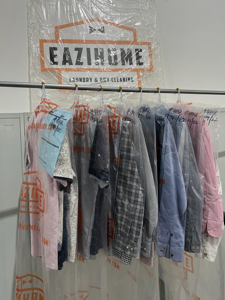 Eazihome Laundry Shirt Dry Cleaning
